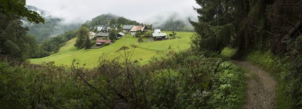 Can Rooftop Gardens in Urban Settings Improve Residents' Mental Health and Air Quality?